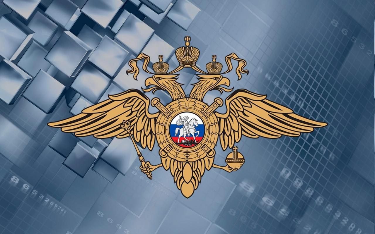 Министерство внутренних дел РФ